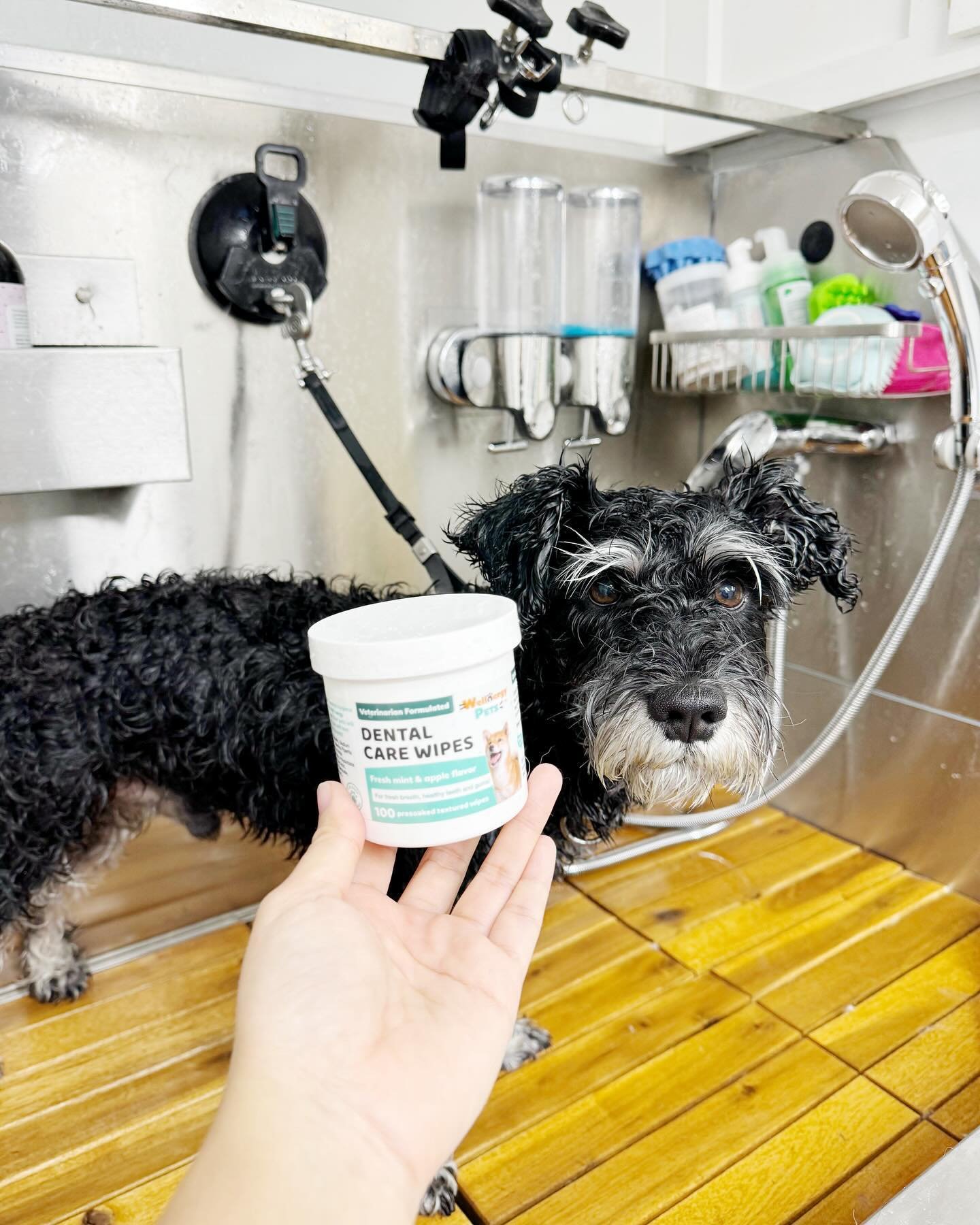 Teeth brushing reduces plaque, freshens breath, &amp; fights bacteria. We like to use @wellnergypets dental care wipes! Brushing 3 times a week is the minimum recommendation to help remove plaque and prevent tartar accumulation.

#pupwash911 #gettail