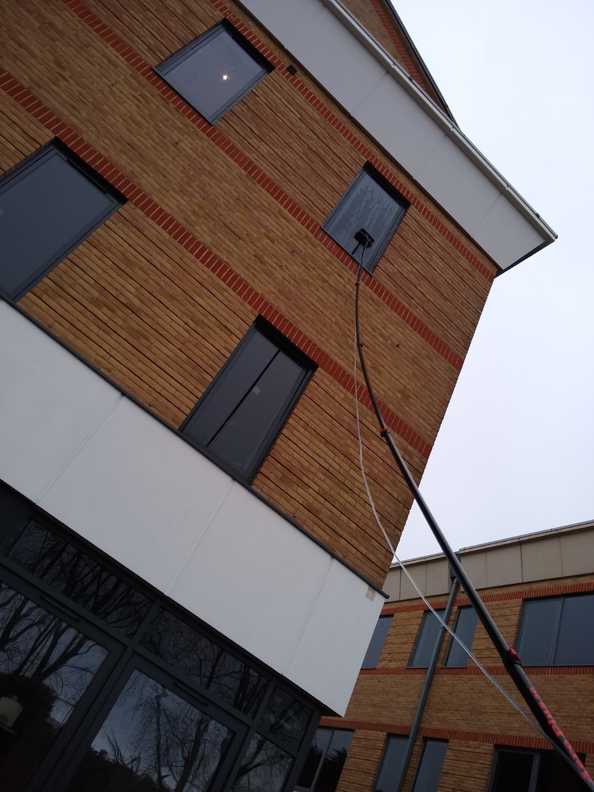 Commercial window cleaning