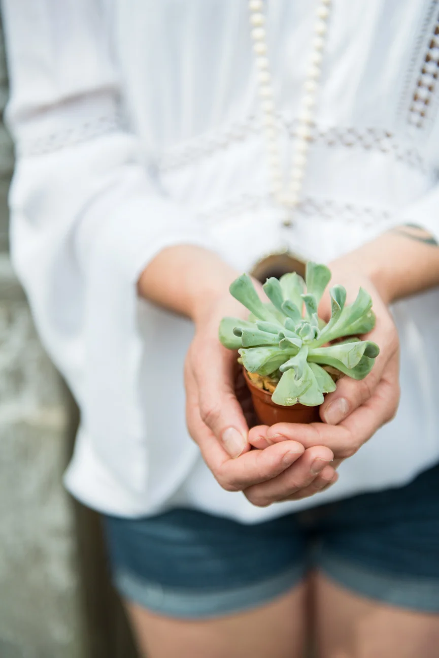 It's been a long, winding road