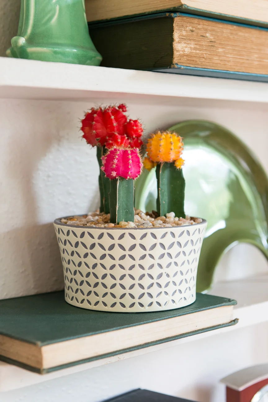 Mid-Century Home Decor | Home Decor Ideas | Mid-Century Modern | Mid-Century Home Interior | Mid-Century Home Design | Mid-Century Entryway Decor | Paprika Southern