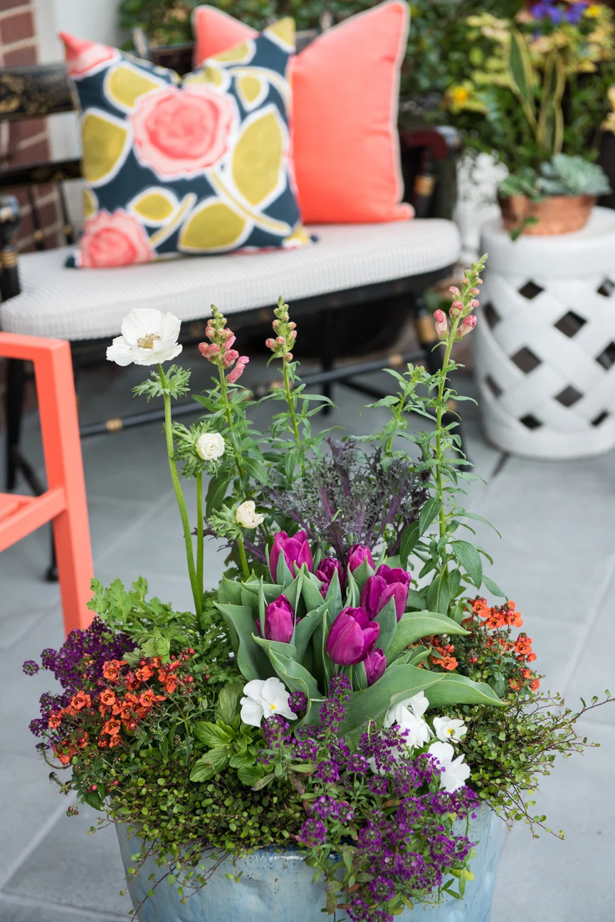 How to Update Your Porch for Spring | Front Porch | Front Porch Refresh | Patio Ideas | Outdoor Entertaining | Patio Refresh | Southern Porch | Colorful Porch Ideas | Porch Ideas for Spring | Porch Decorating Ideas | Container Garden | Container Garden Ideas | Container Garden for Porch | Paprika Southern
