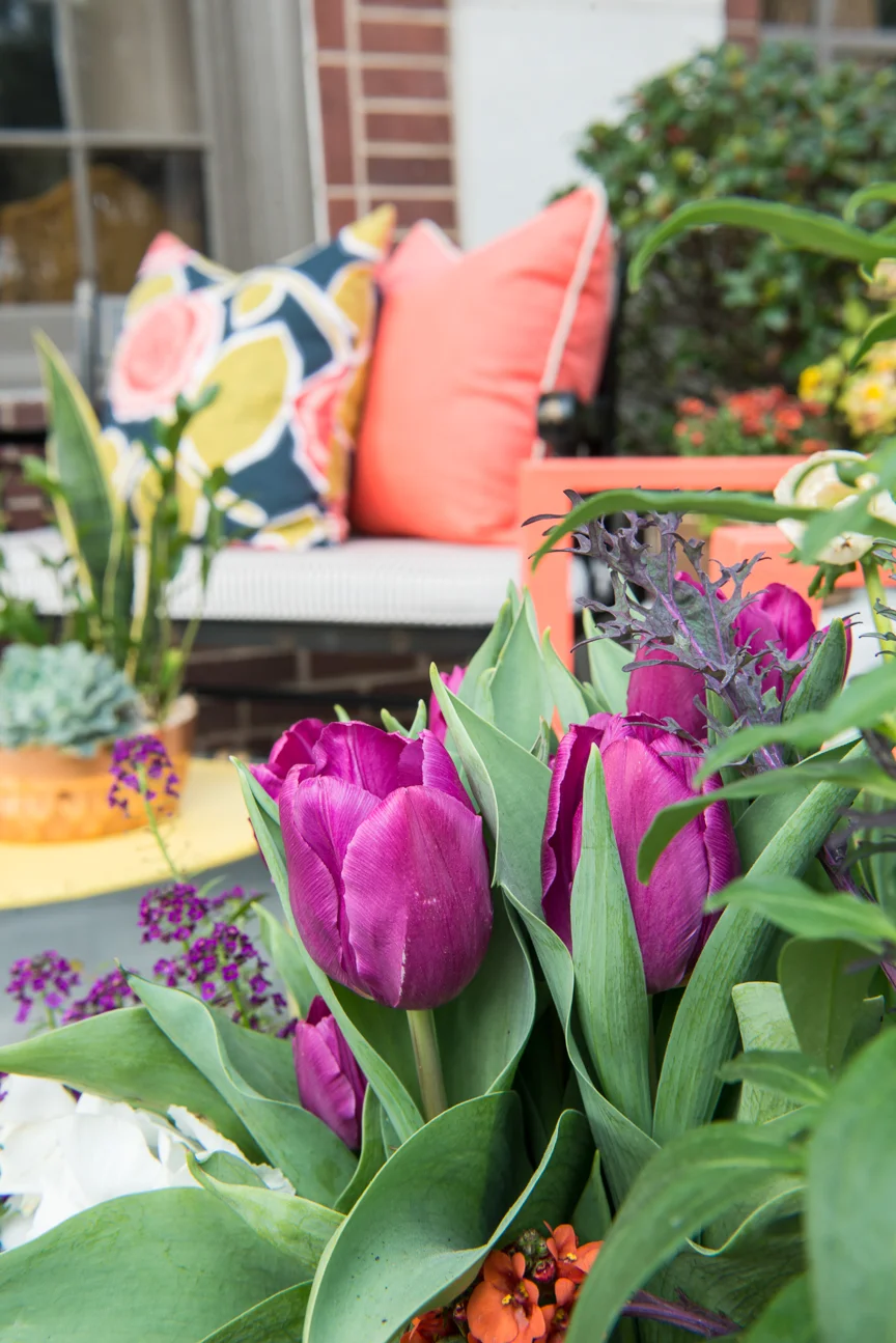 How to Update Your Porch for Spring | Front Porch | Front Porch Refresh | Patio Ideas | Outdoor Entertaining | Patio Refresh | Southern Porch | Colorful Porch Ideas | Porch Ideas for Spring | Porch Decorating Ideas | Paprika Southern
