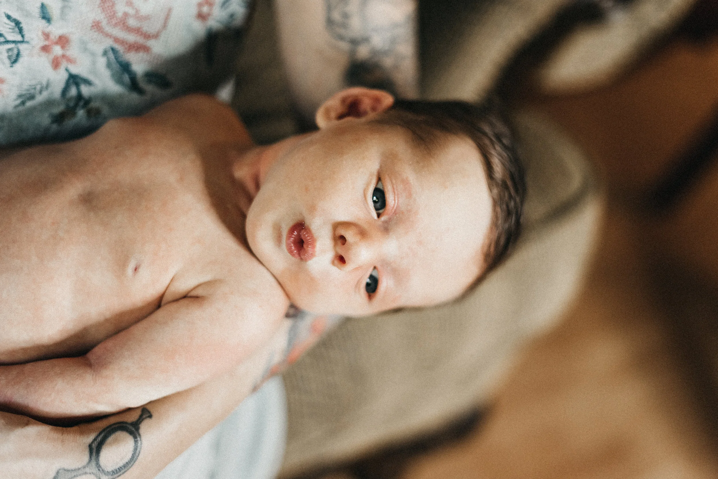 Monique Newborn-09024.jpg