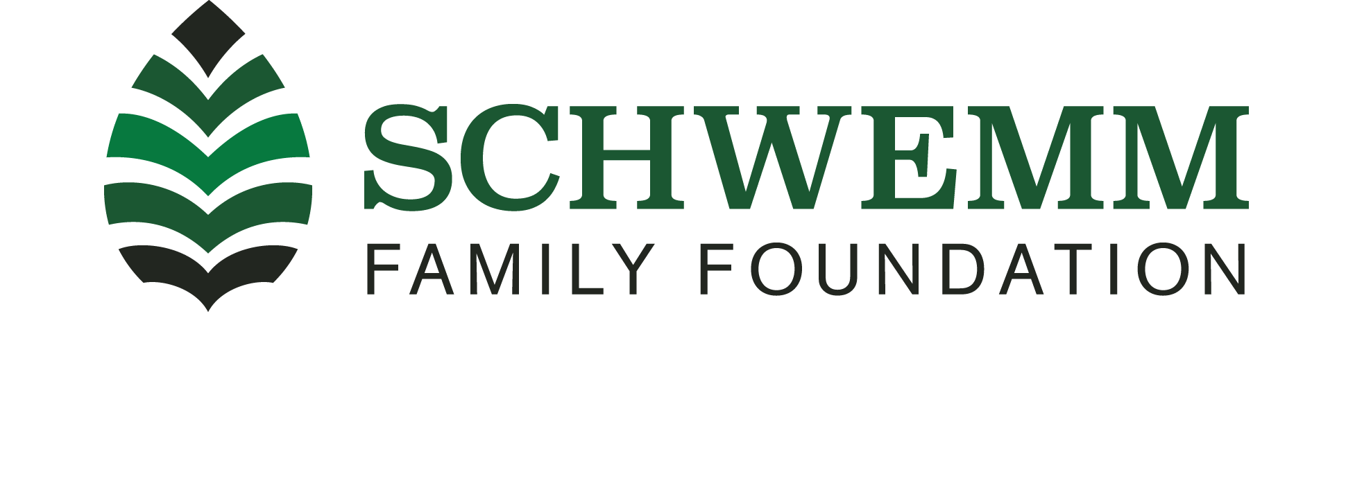 SCHWEMM FAMILY FOUNDATION