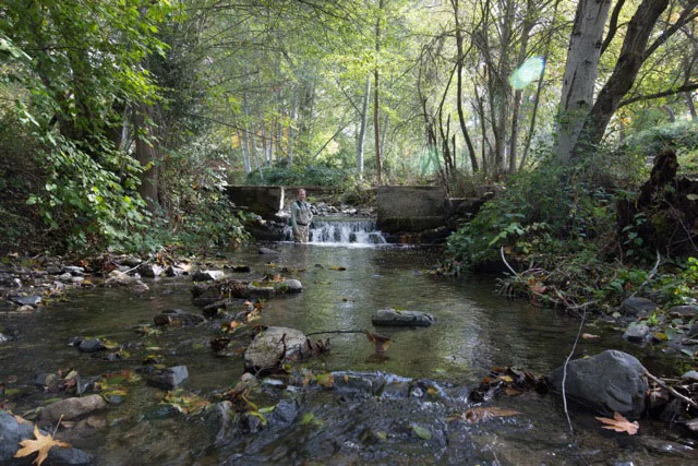 Beeson-Robison-And-Brian-Upstream.jpg