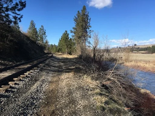 Joseph Branch Trail Consortium - Joseph Branch Rail-with-Trail