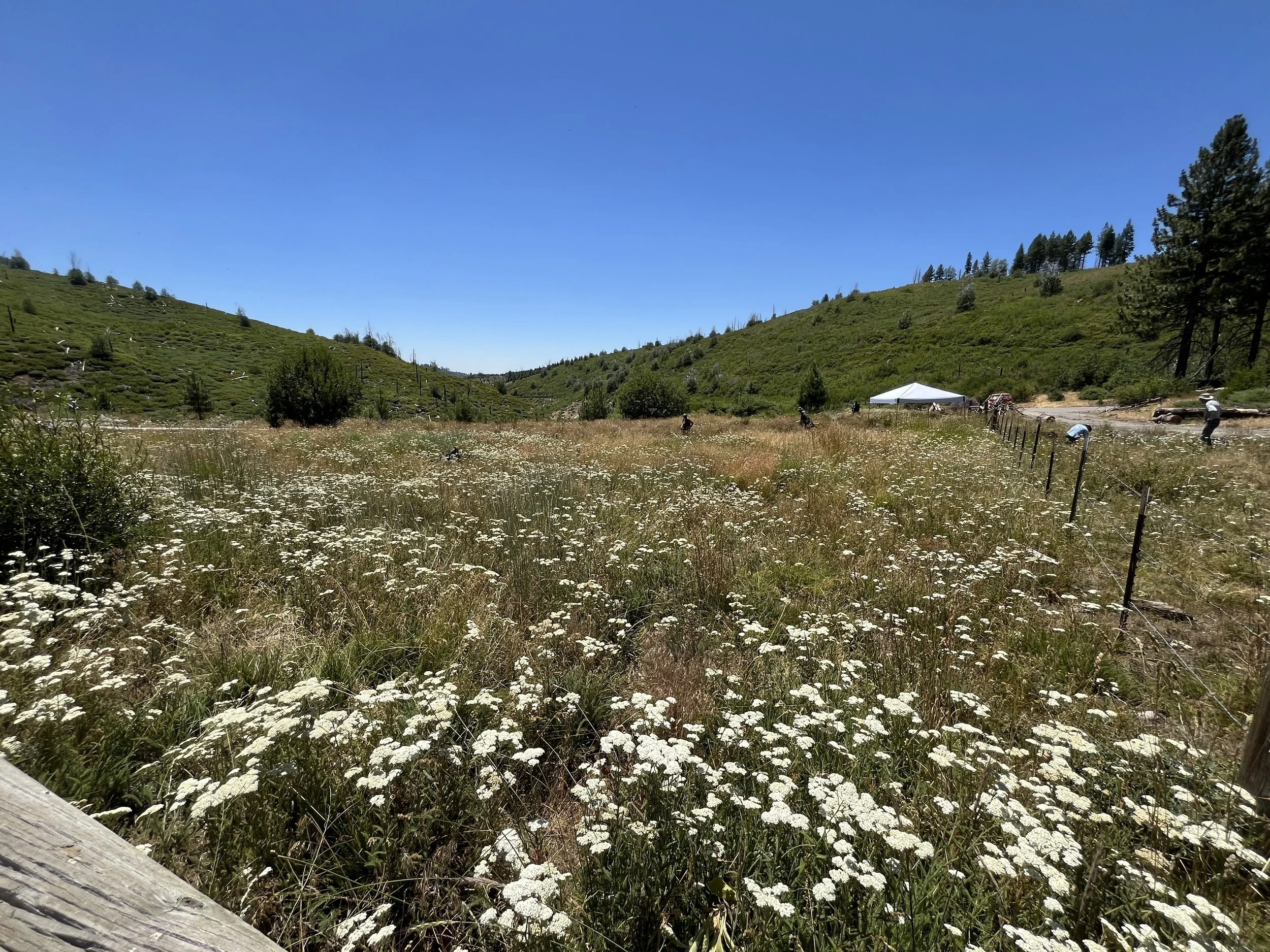 Central Sierra Environmental Resource Center