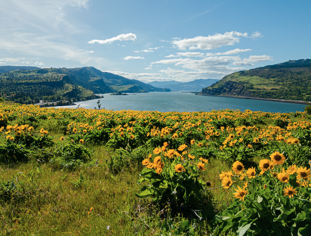 Friends of the Columbia Gorge