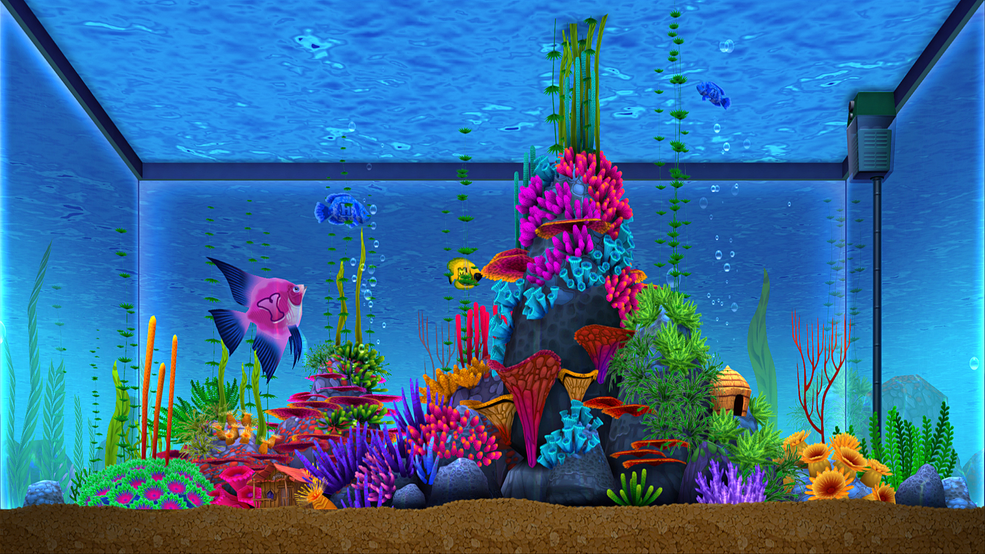 Tabor_Robak_Analphabetic-Aquarium_close_2.jpg