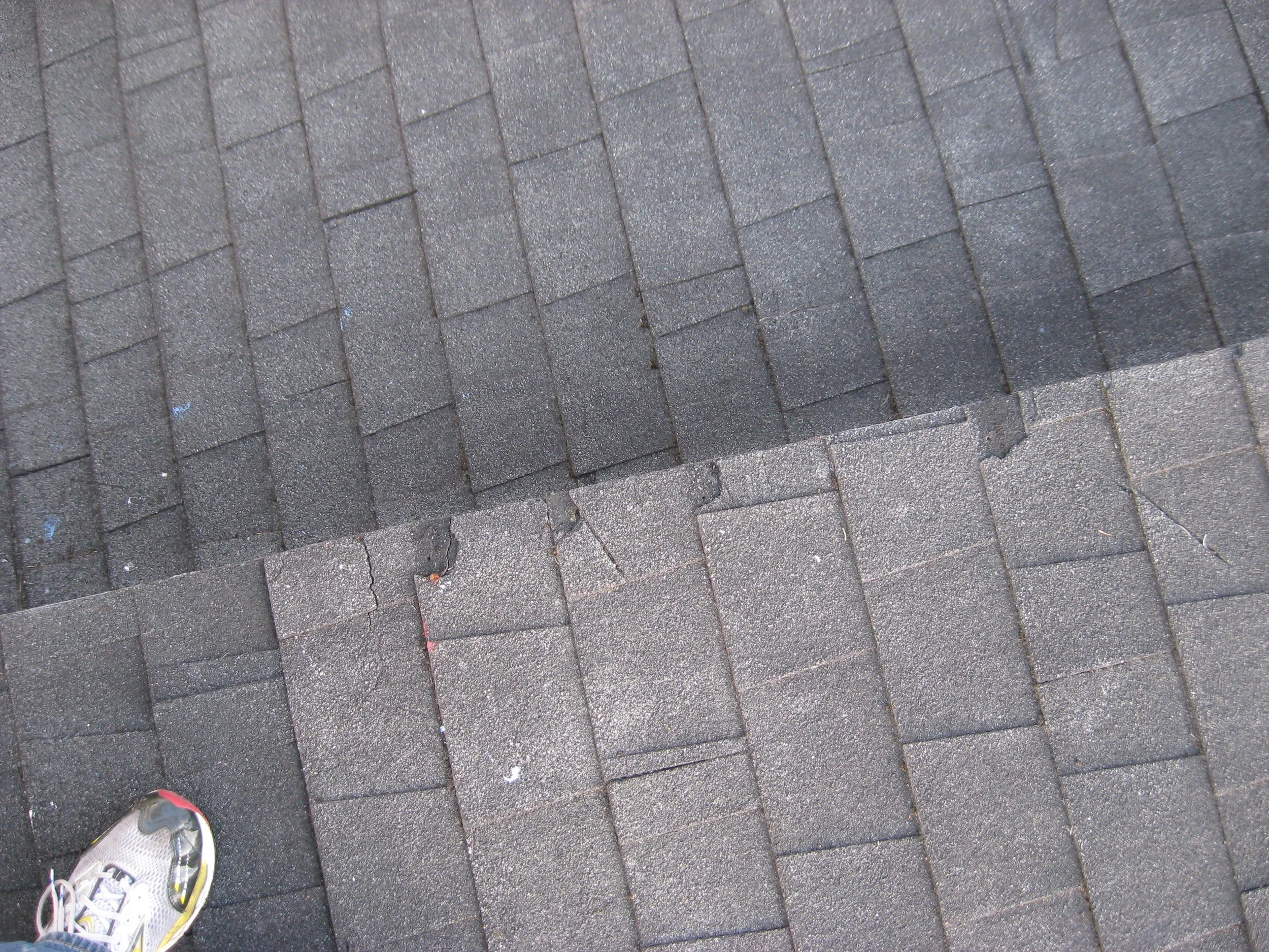 IMG_1625.JPG