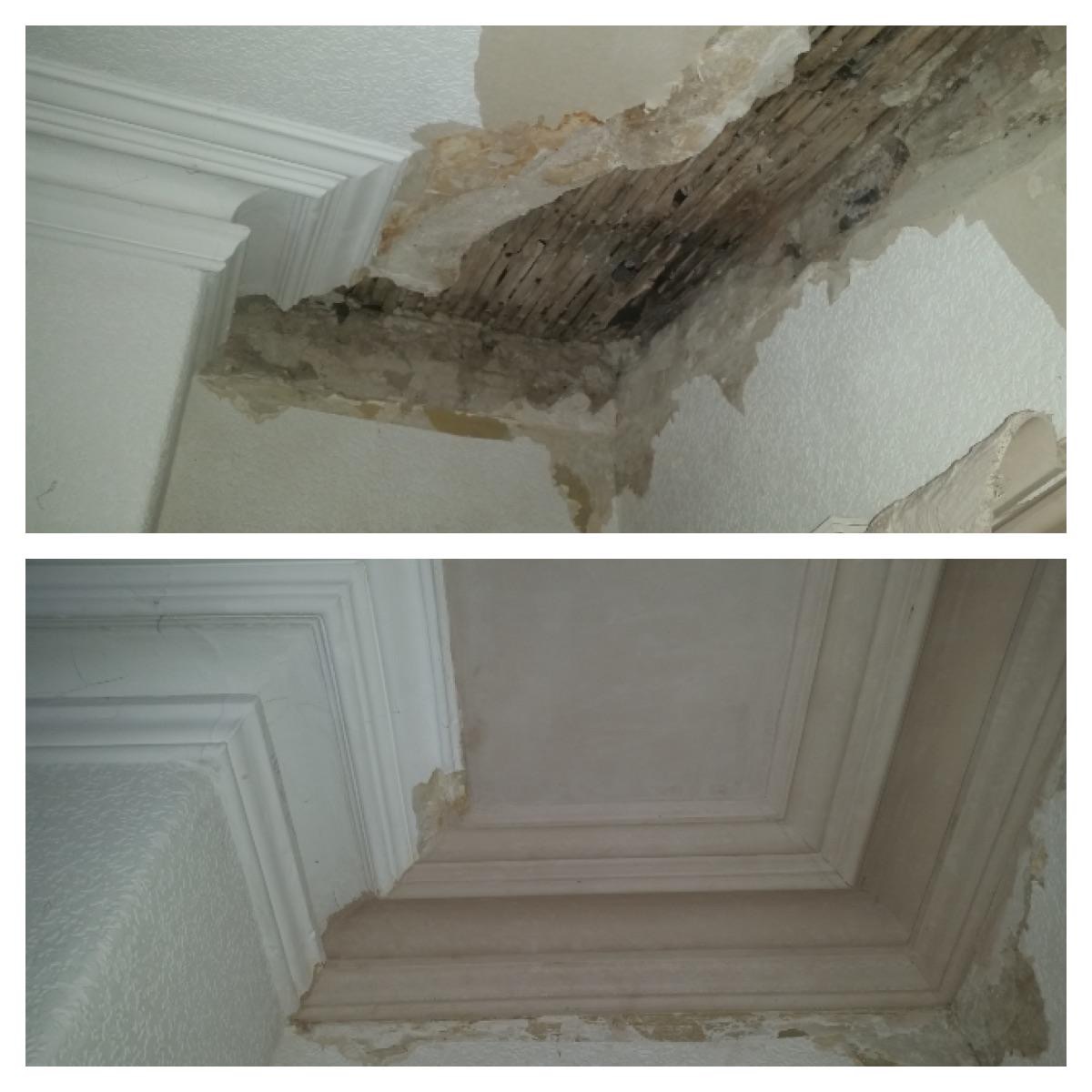 Cornice Repairs Cornice Coving Ceiling Rose Plastering