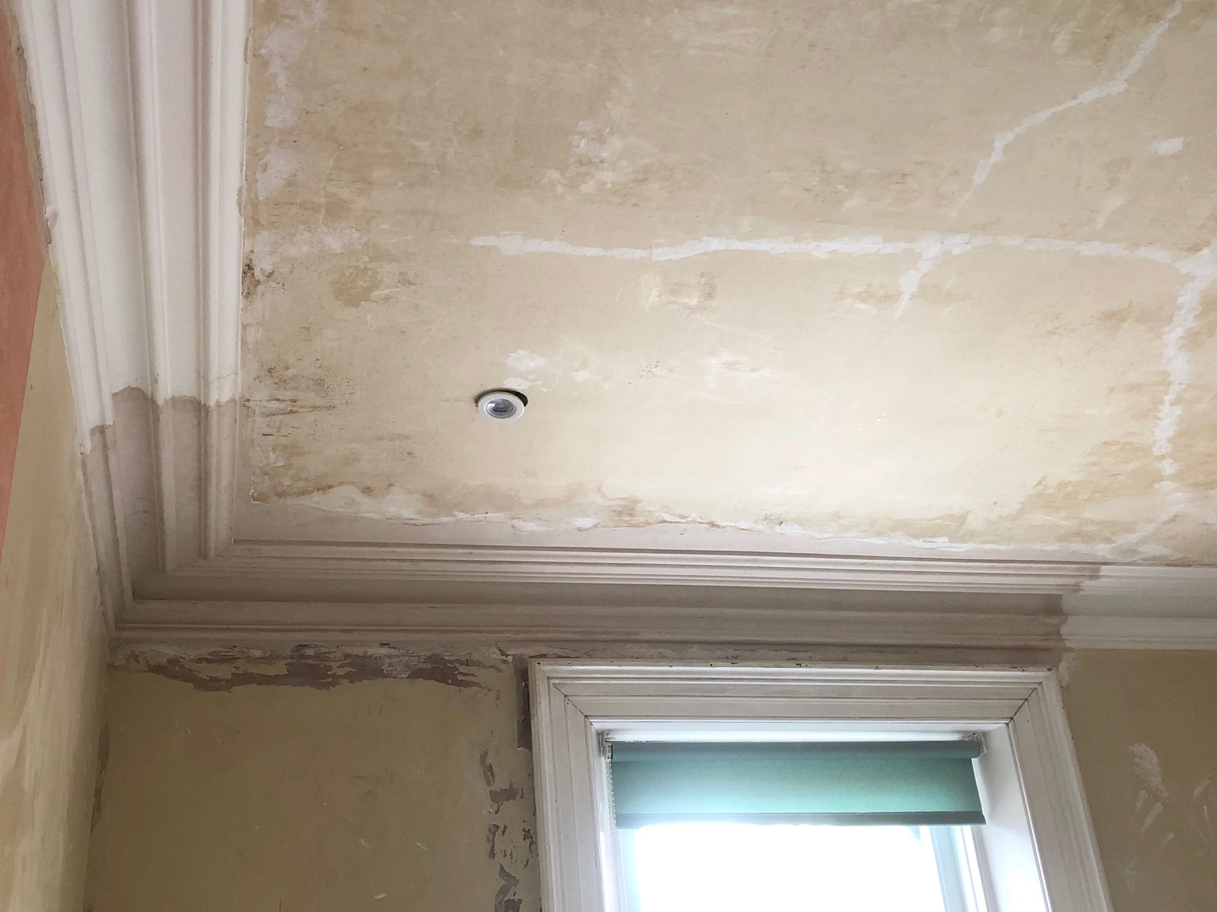 Victorian cornice Repairs in Barnetby le Wold, Lincolnshire
