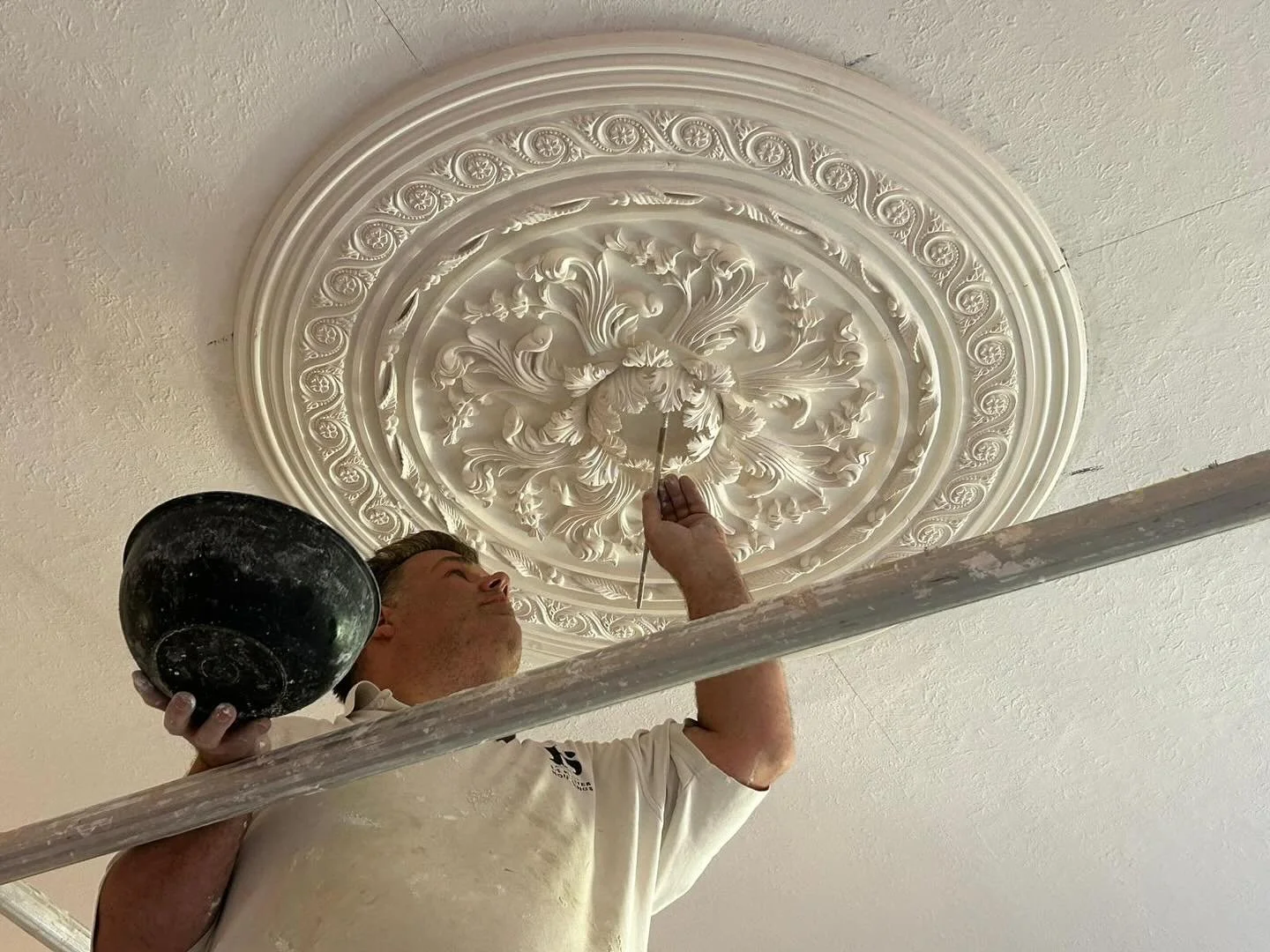 1100mm large regency rose in beautiful Georgian home - 3.6m high ceiling.  Planting the enrichments and clean them to finish off.
