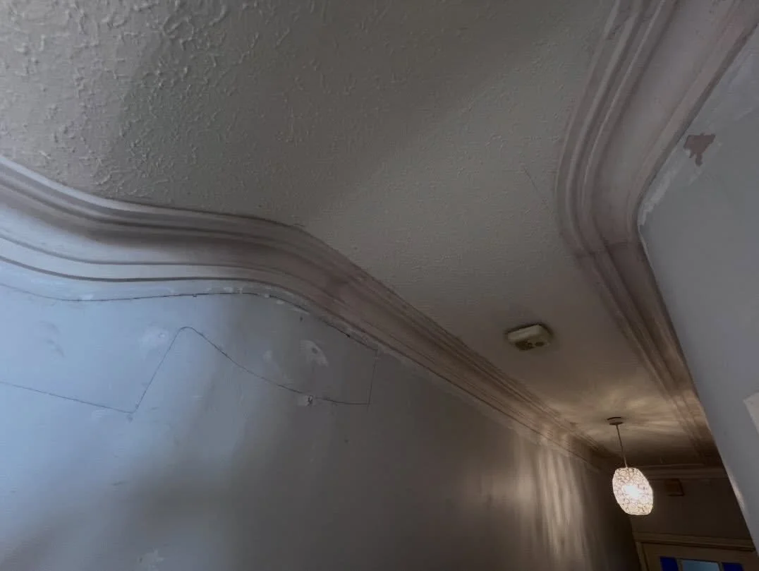 We also do curved sections of cornice around awkward shapes ,  here, we did them in traditional method by running in situ, way a lot easier.  Now it&rsquo;s ready for @lc_painting to do their magic once it&rsquo;s dried up.