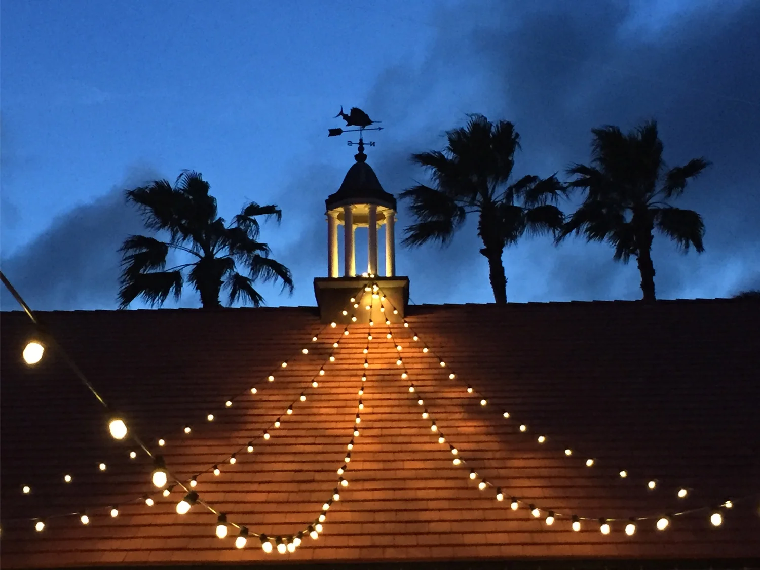 NightLights.jpg