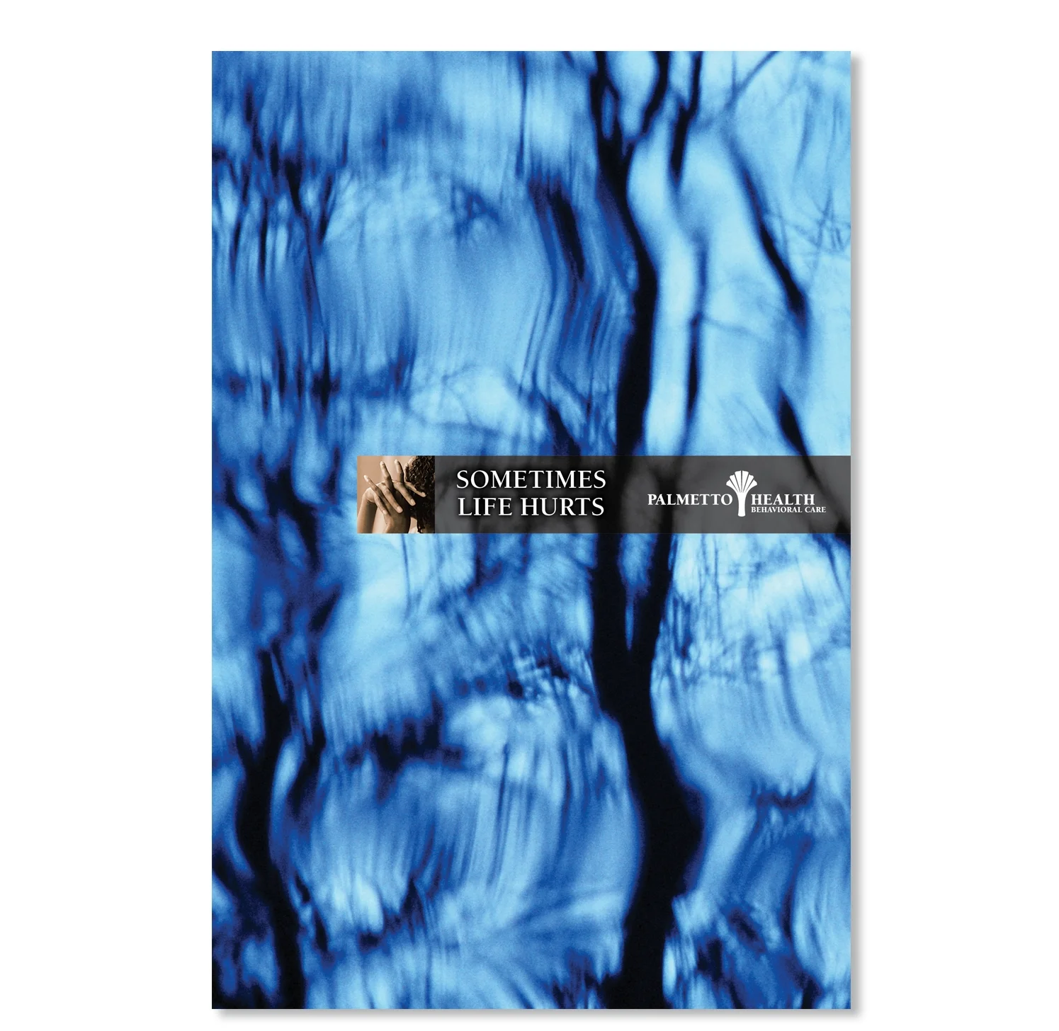 Palmetto Health Behavioral Care Services Brochure