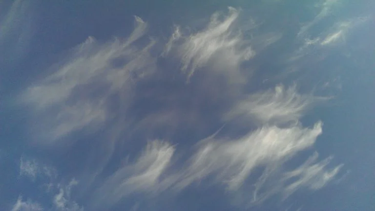 Breath of Life Conference 2018