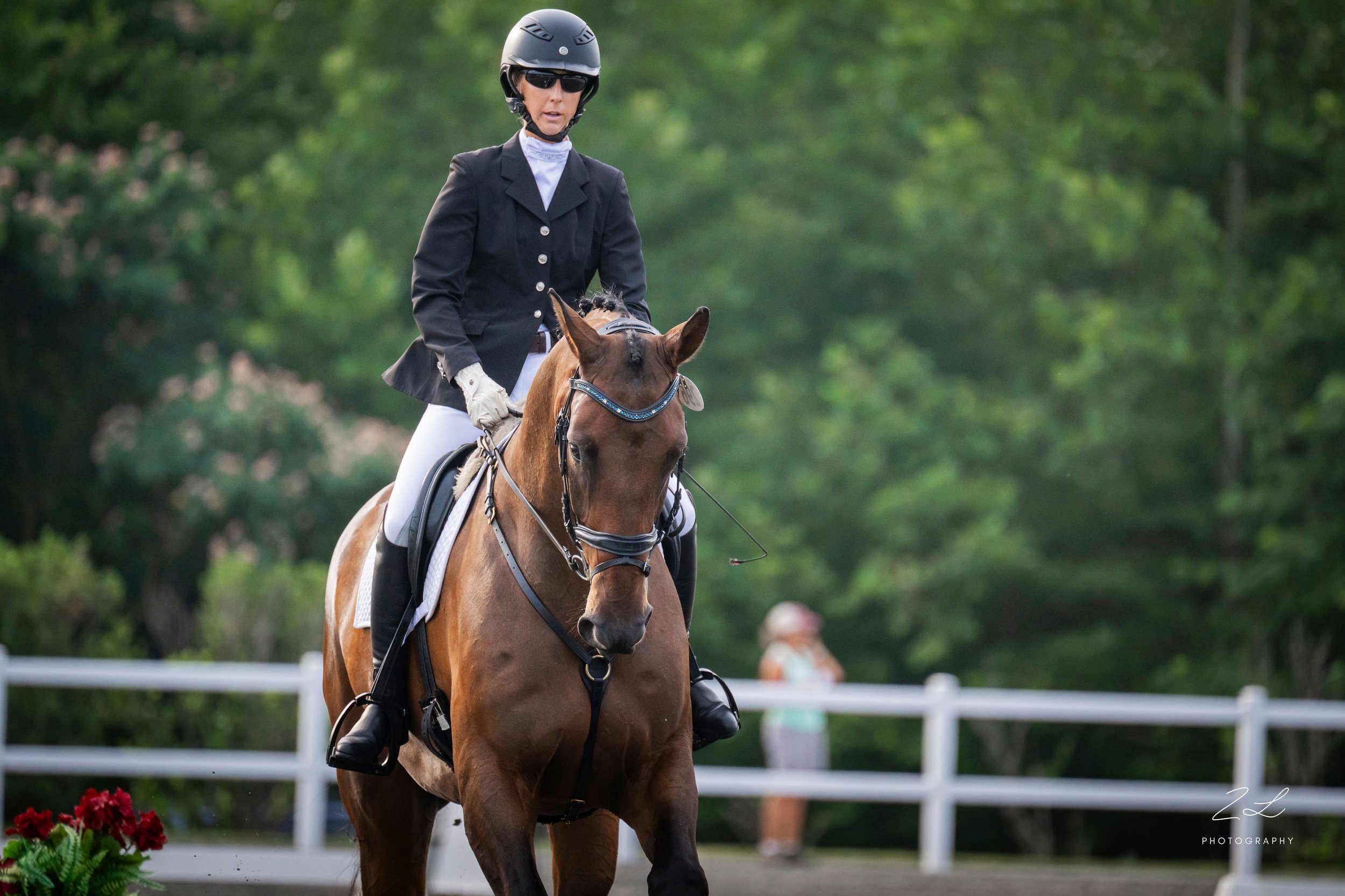 Jacek LMF Dressage pretty 1.jpg