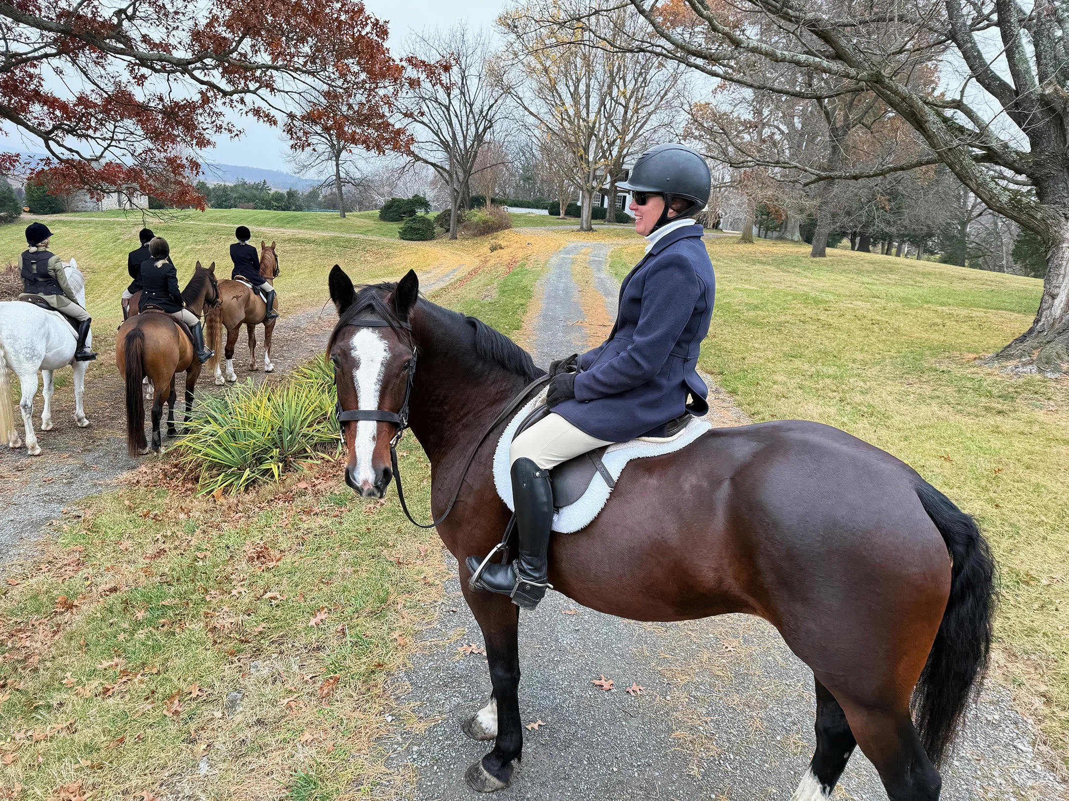 Tee hunt 11-25-3.jpg