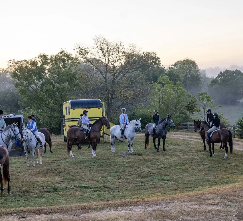 Magnum prog hunt 5.jpg