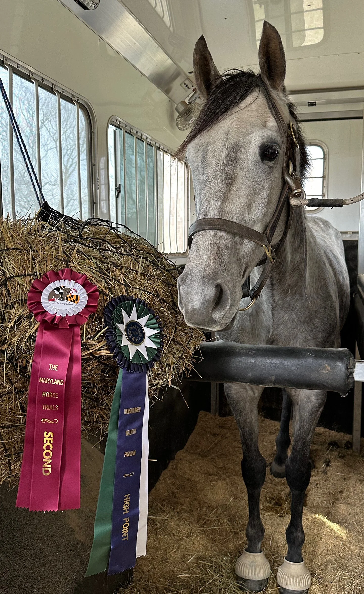 Cooper MDST ribbon.jpg