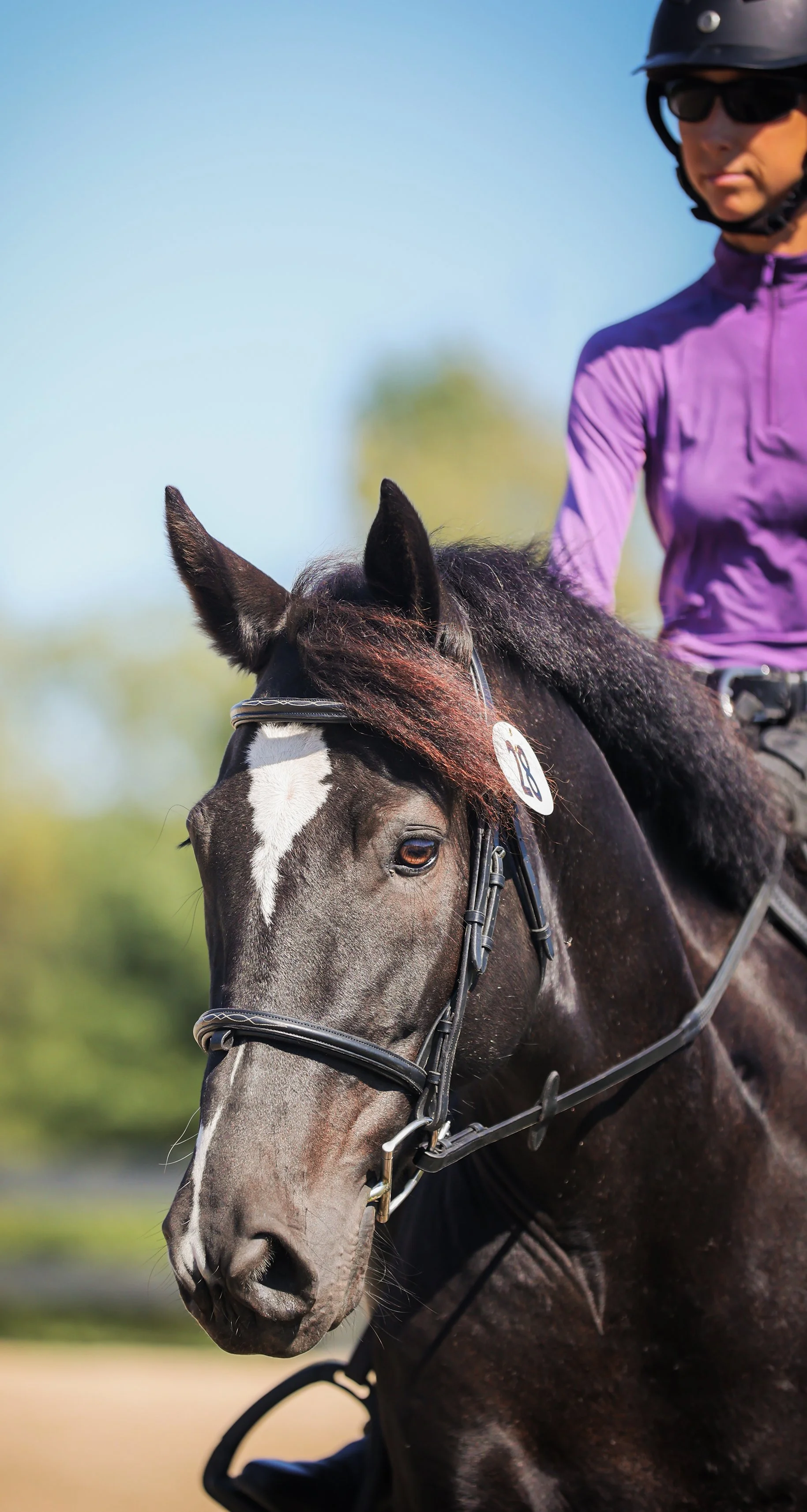 Ruca RGST prof pretty 2 med.jpg