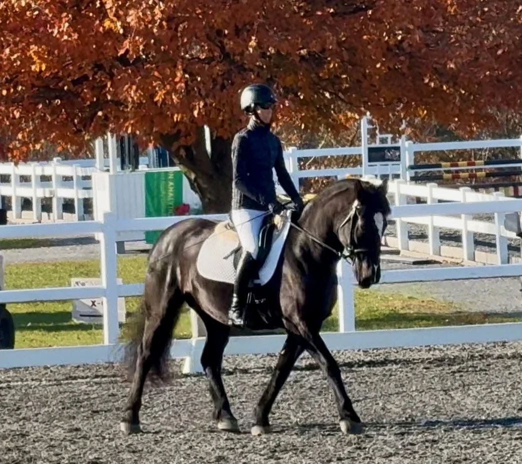 Ruca MDHTST trot 3.jpg