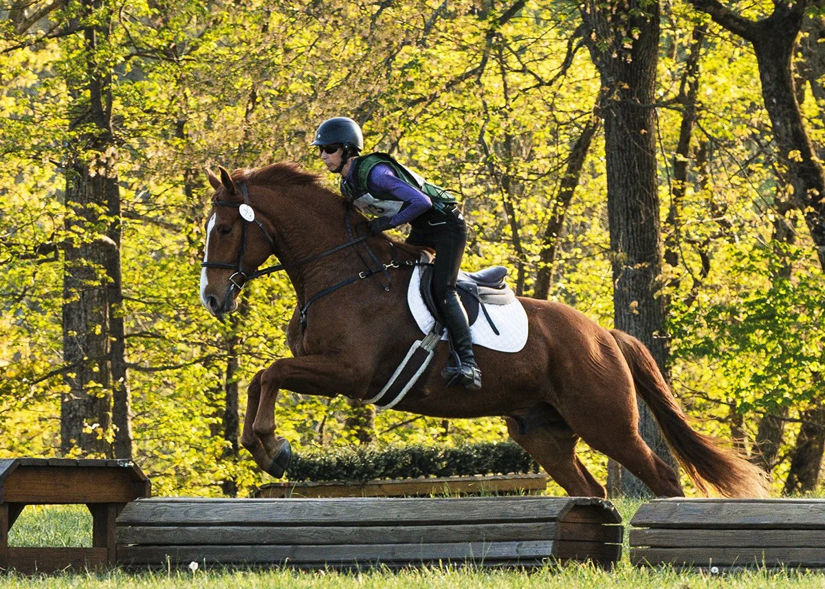 Titanium MDHTTW xc jump 1 med.jpg