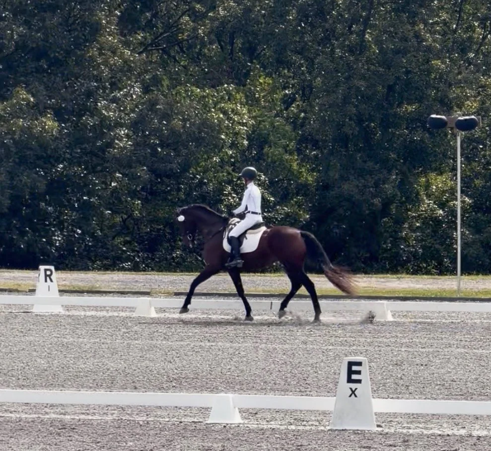 Jinn MDST trot 1.jpg