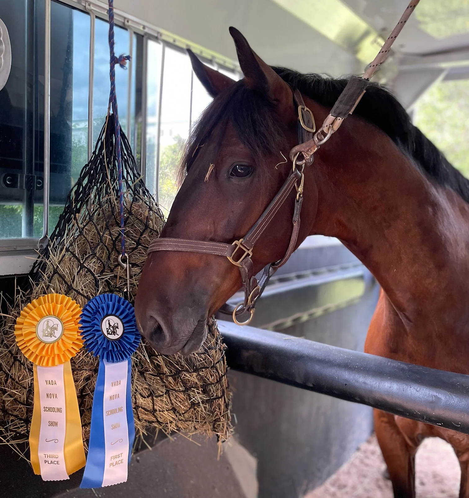 Marcelo MPDS ribbons.jpg