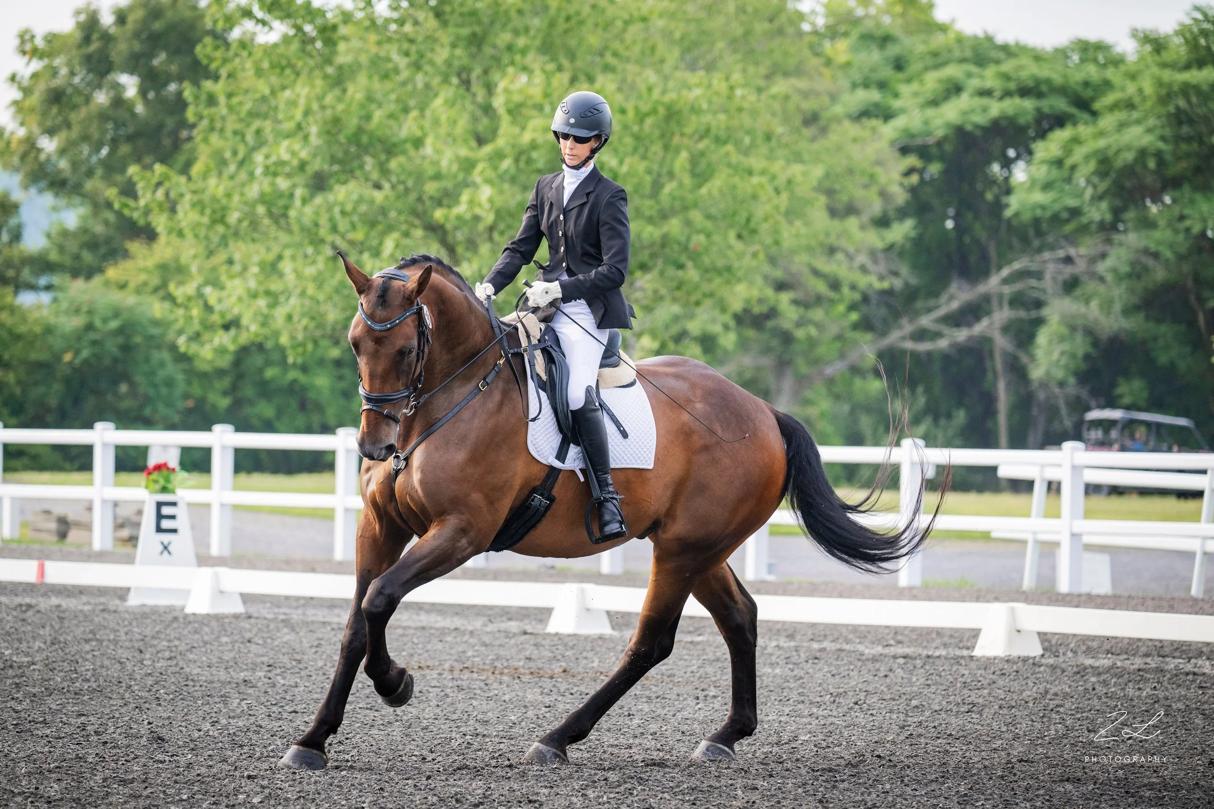 Jacek LMF Dressage canter 1.jpg