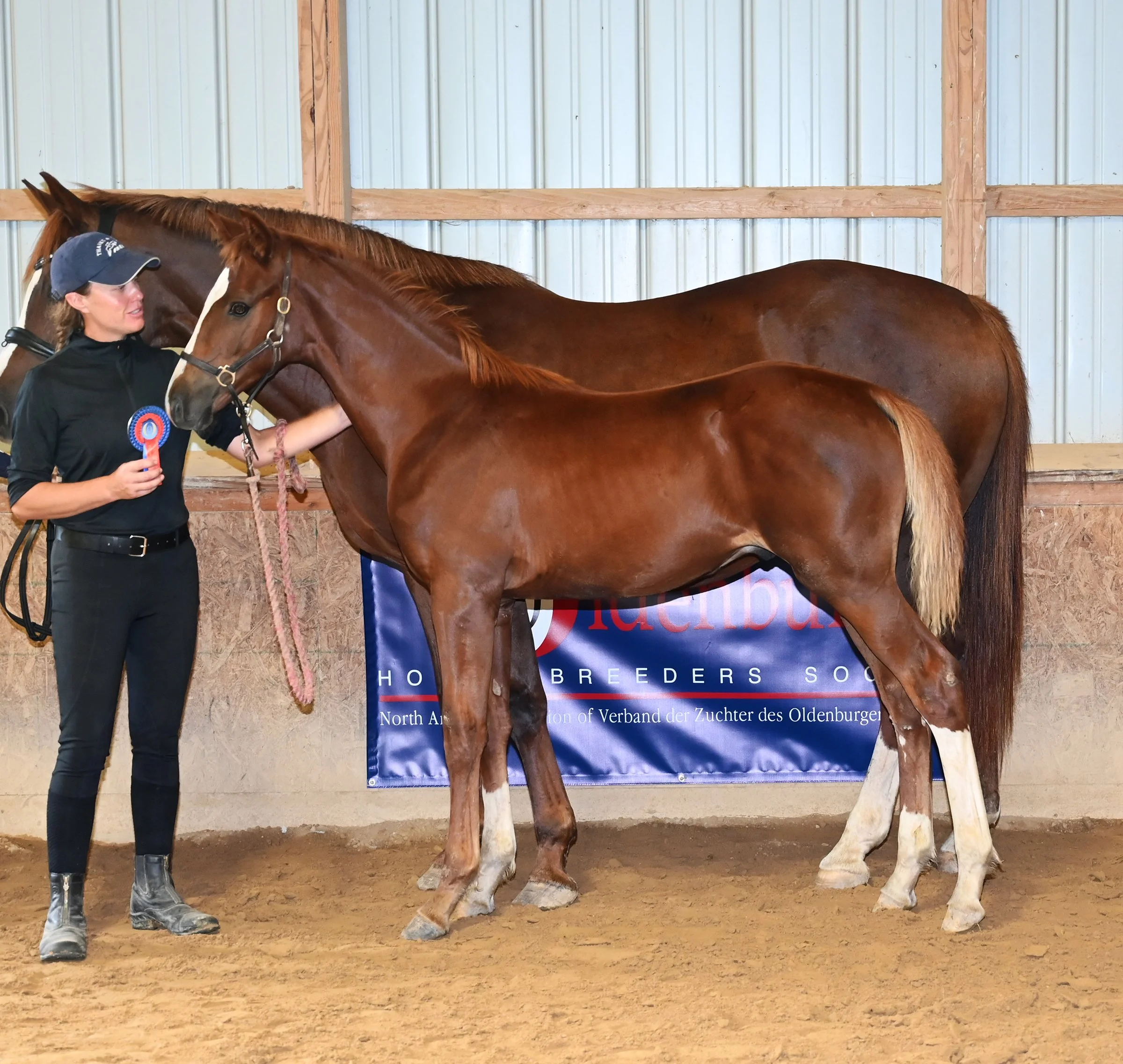 Quiet inspection LS 4.jpg