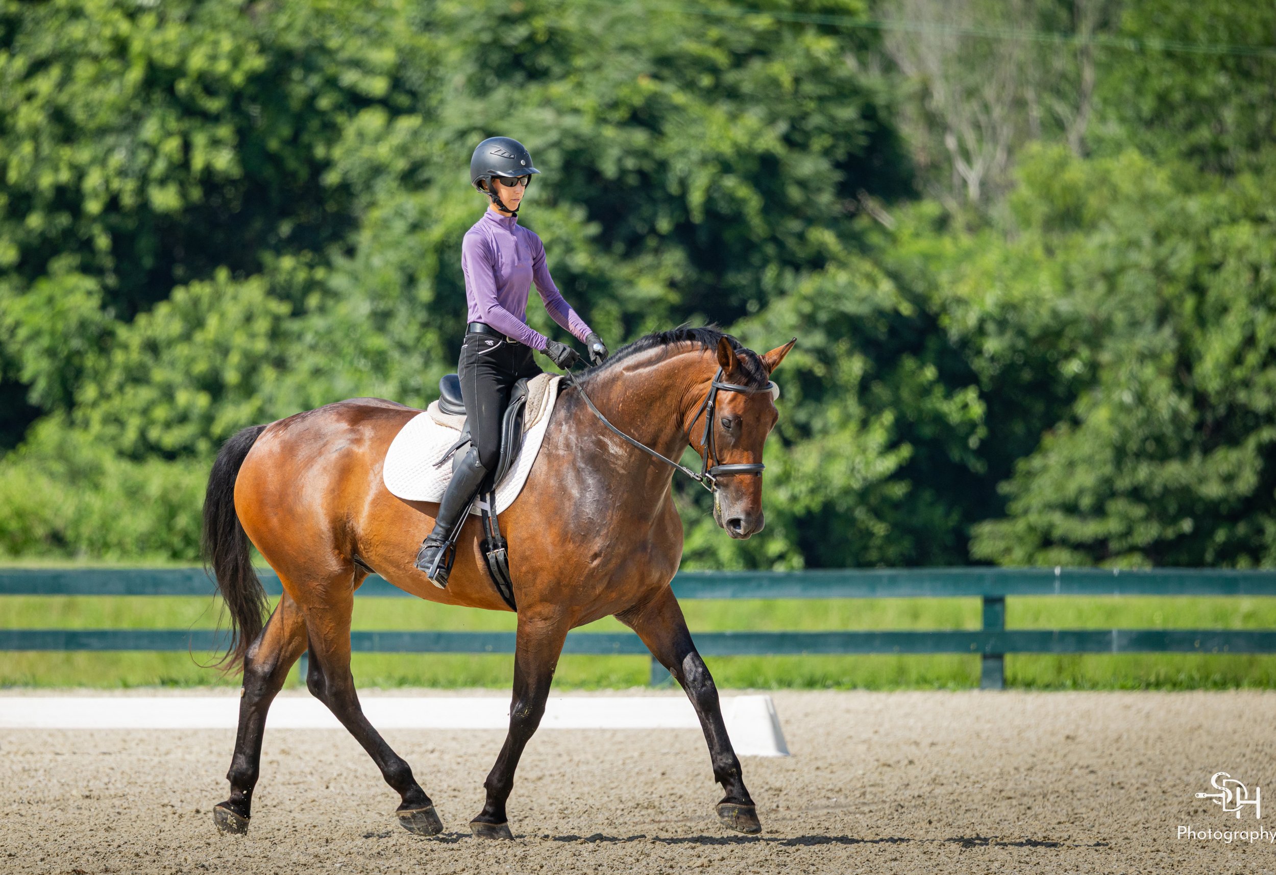 Jacek GMDS trot 3.jpg