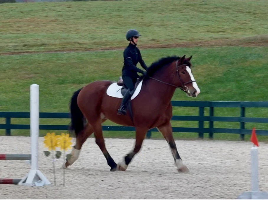 Mungo GMJS trot 2.jpg