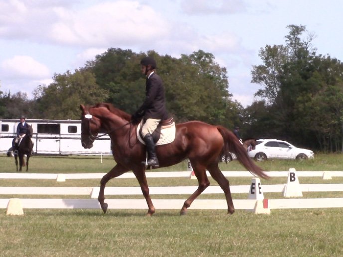 Ilka CDCDTA trot 2.jpg