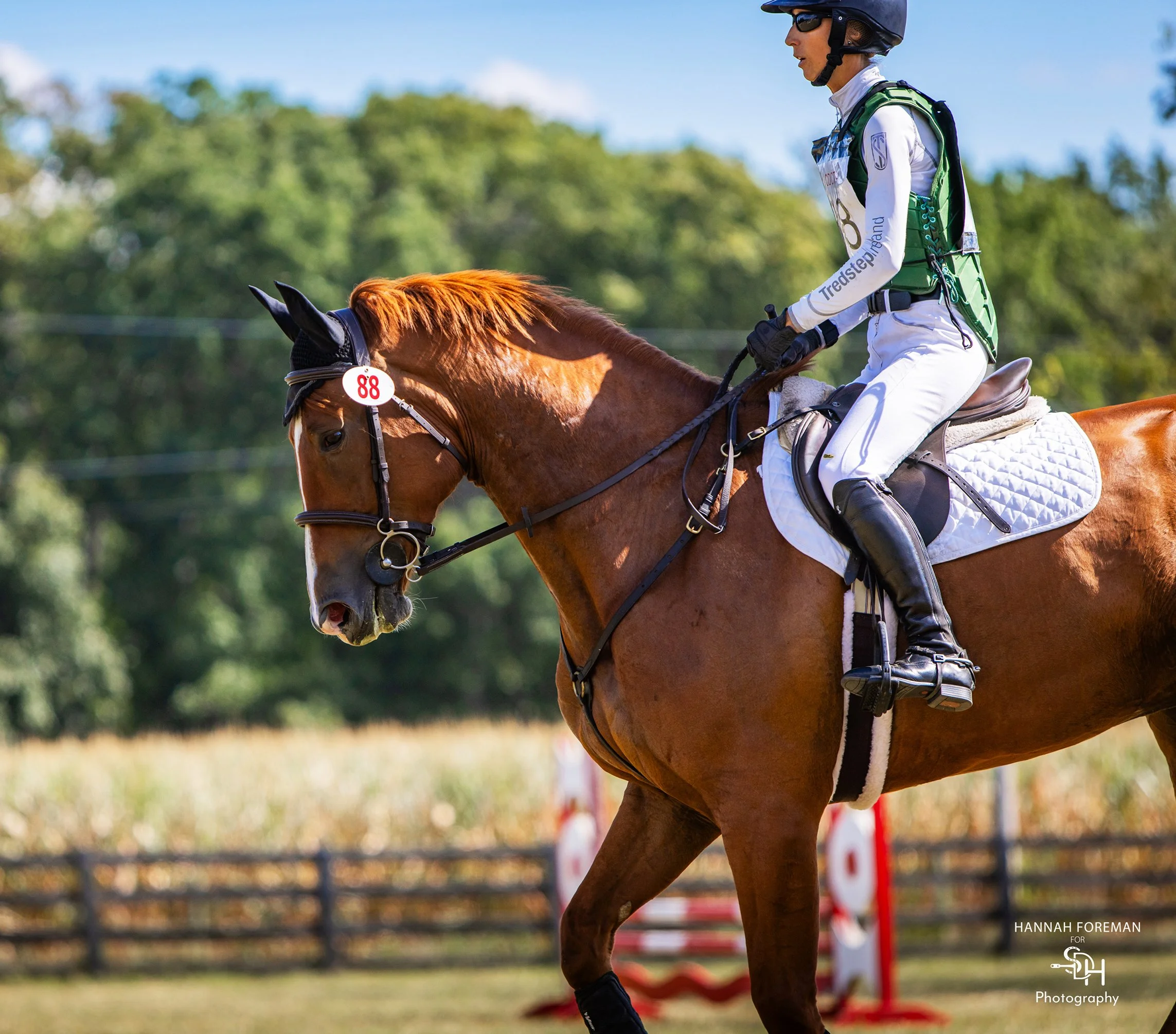 Titanium CDCTA prof pretty 1 med.jpg