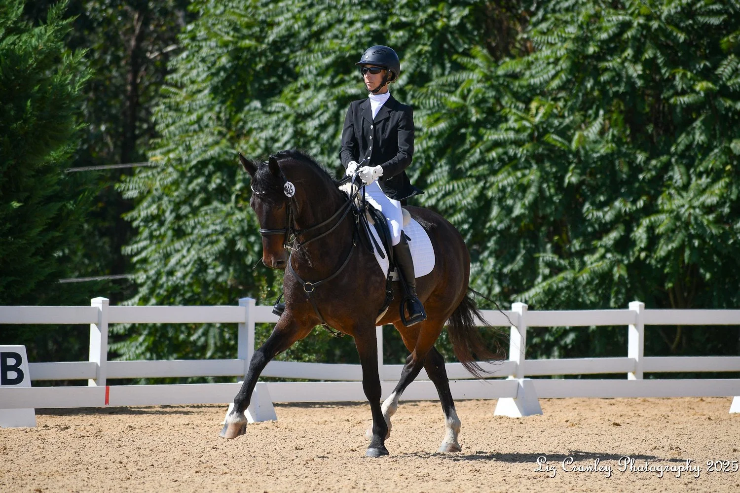 Marcelo GAIG25 prof 1.jpg