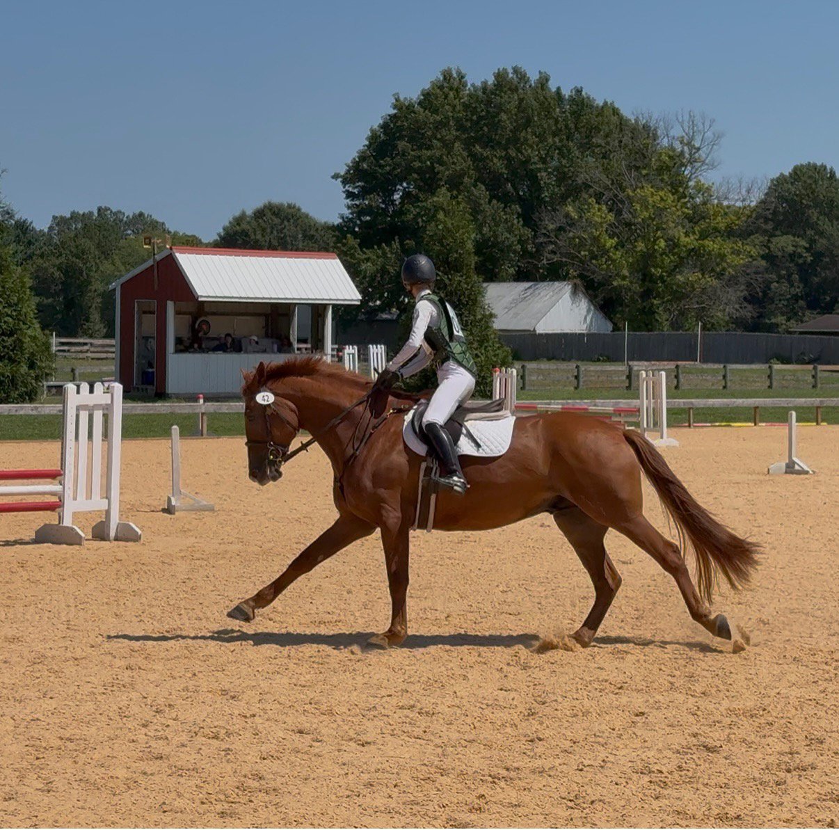 Titanium WDST canter 1.jpg