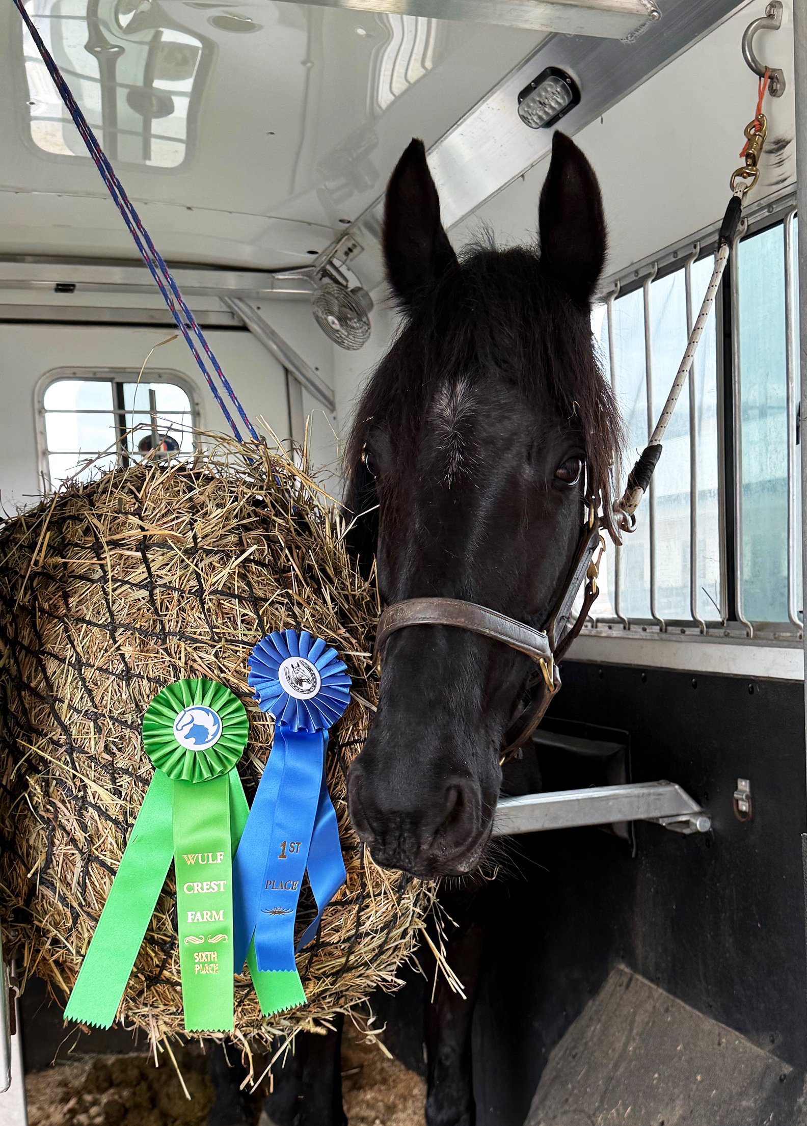 Maggie WCFJS ribbons 1.jpg