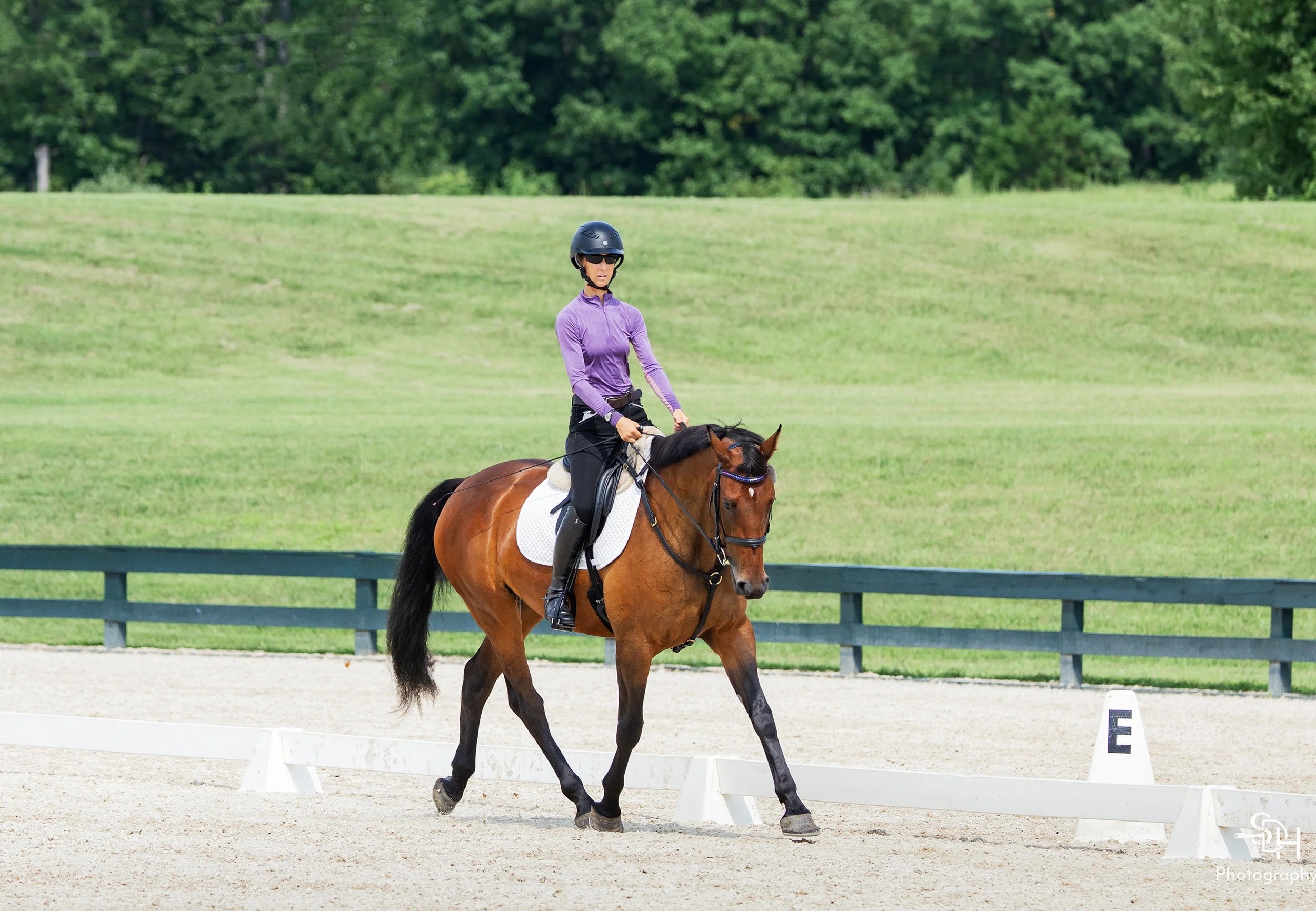 Jinn GMDS2 trot 2 med.jpg