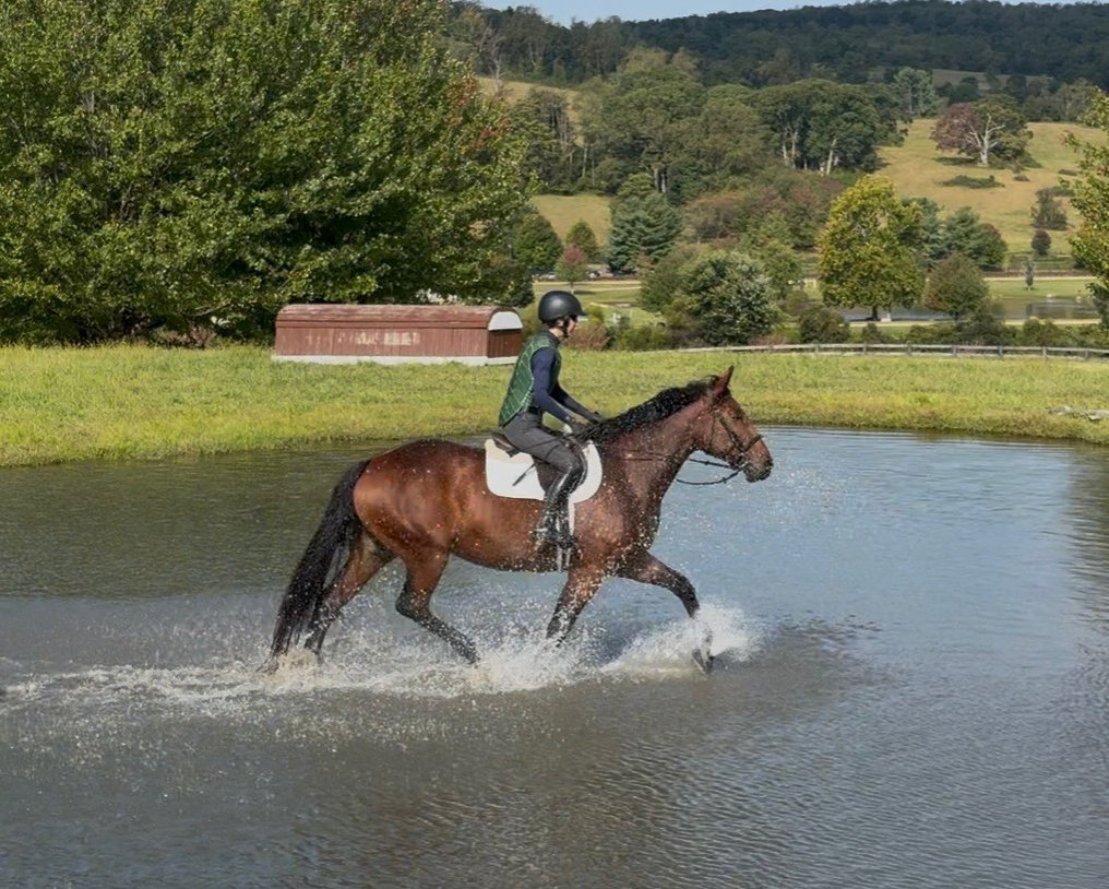 Nesta xc water 2.jpg