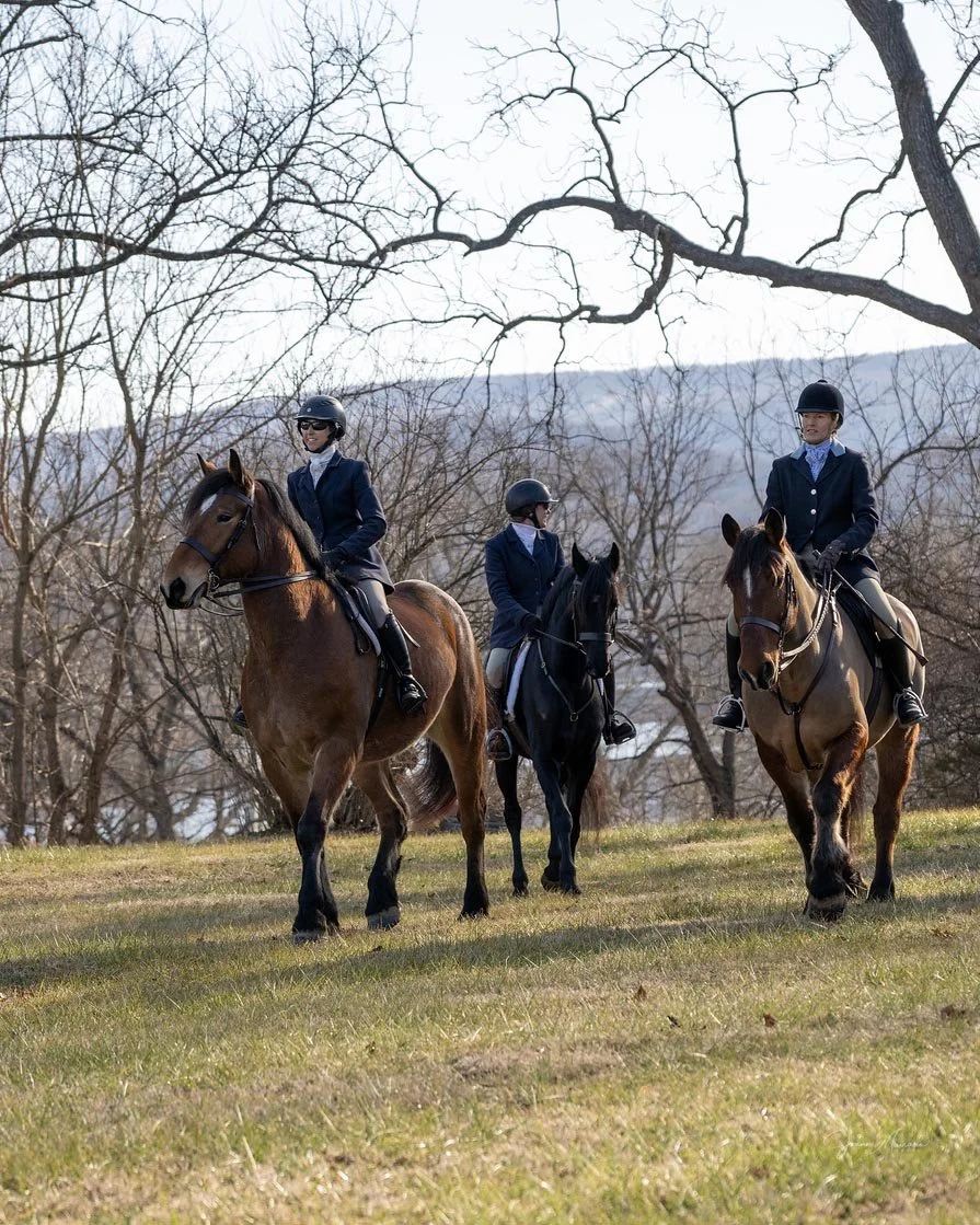 Bash prof hunt 1.jpg