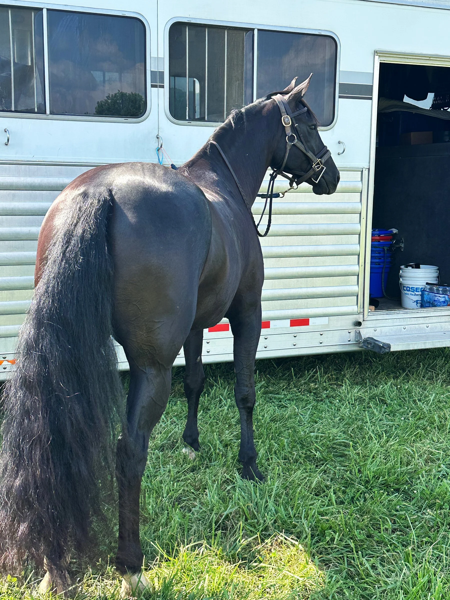 Fierce RGFJS tie 1.jpg