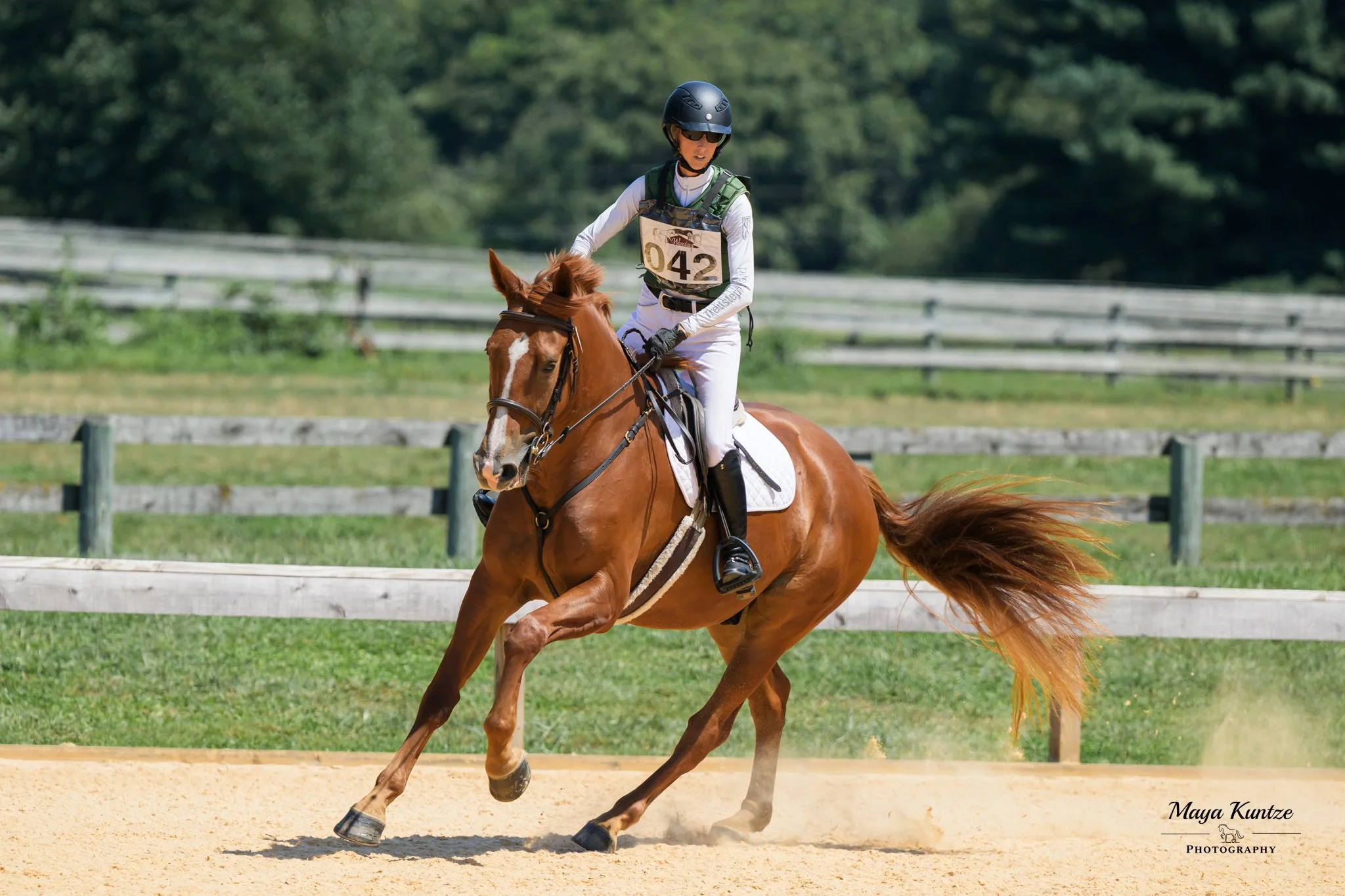 Titanium WDST prof canter 1.jpg