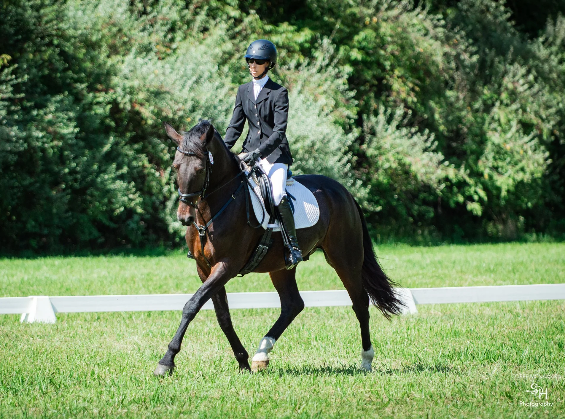 Mulch CDCTA prof trot 1 med.jpg