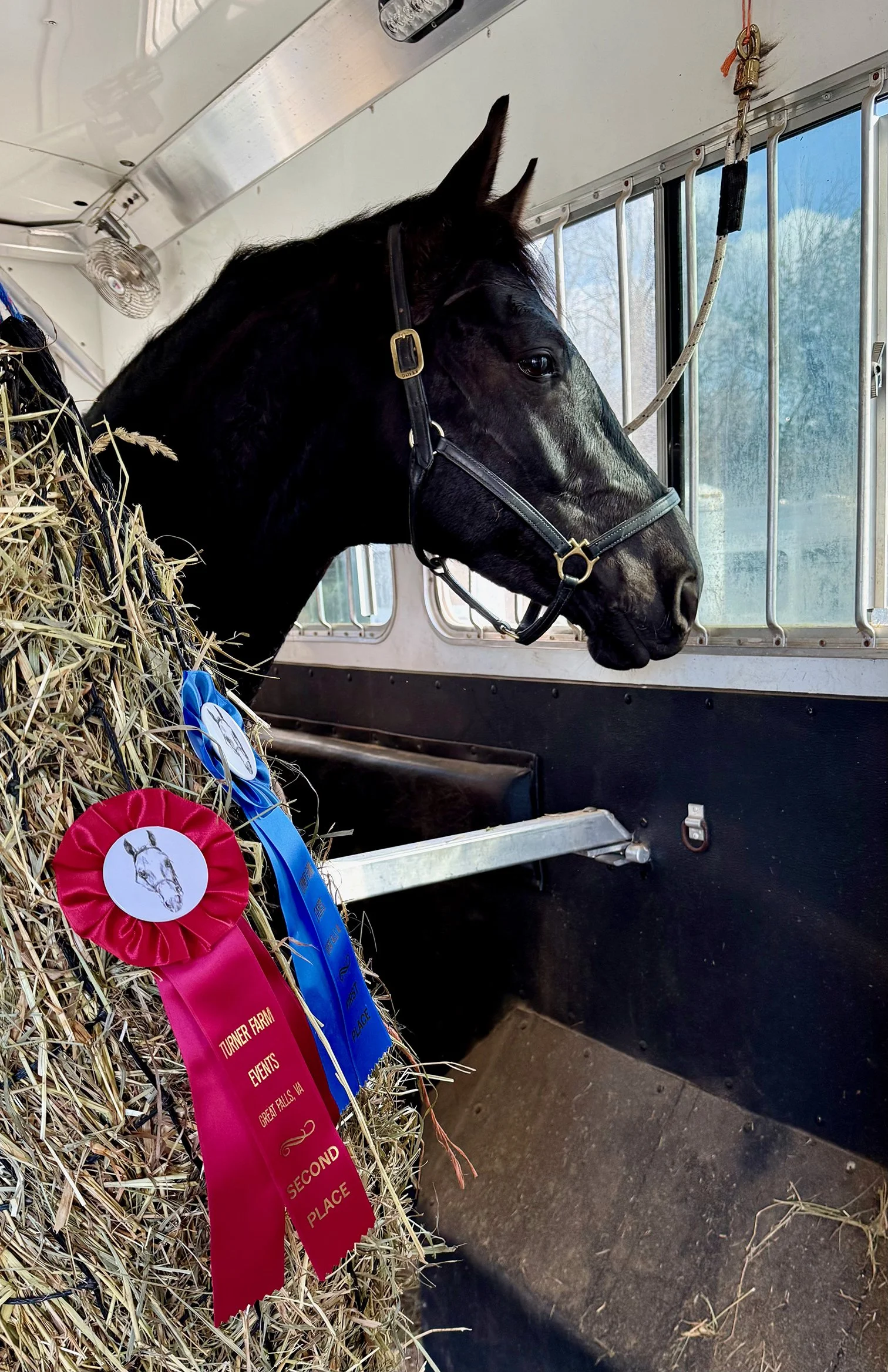 Benevolent TPDS ribbons.jpg