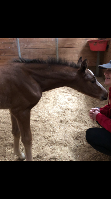 Stella '20 pretty 1.PNG