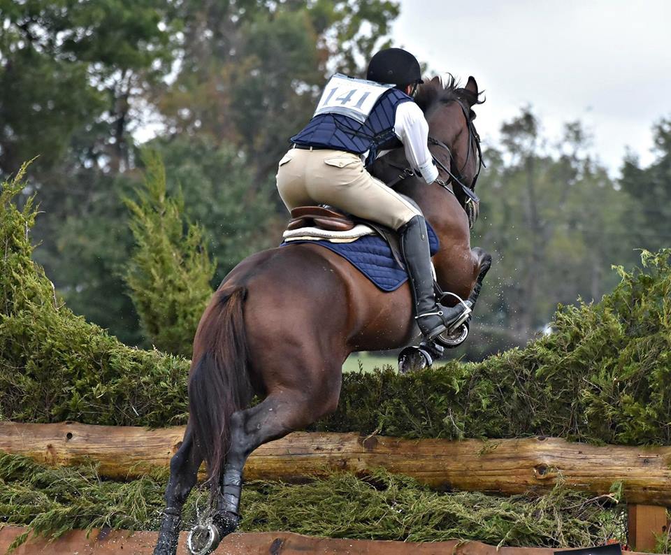 nice rear over fence.jpg