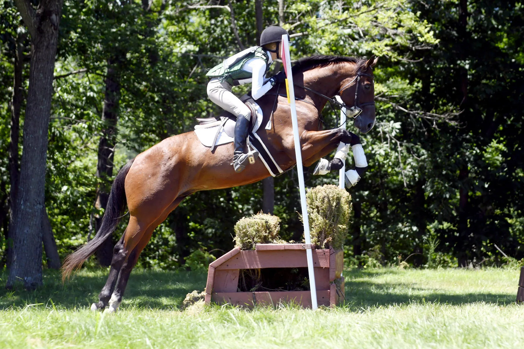 Ben MDHT1-18 prof xc jump 1.jpg