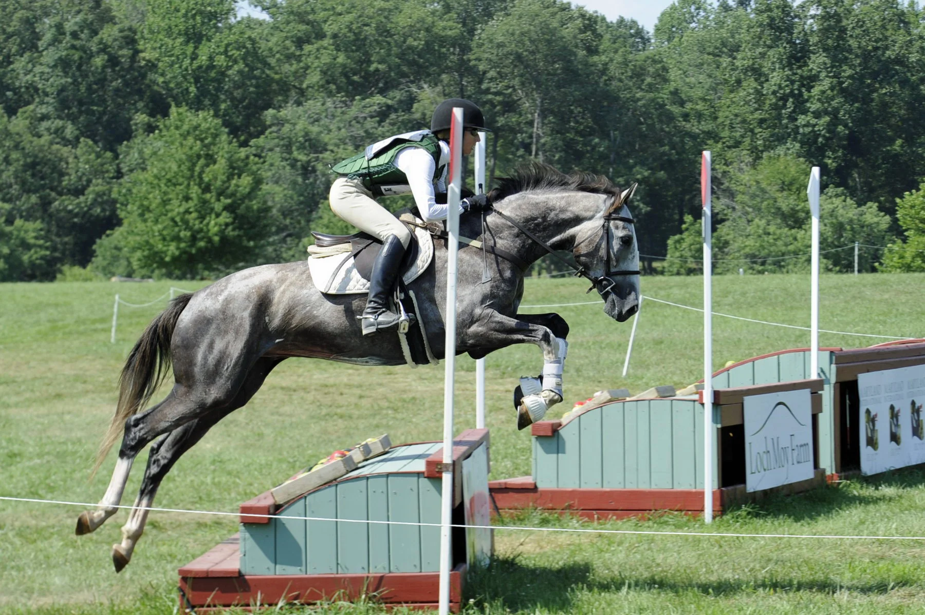 Bling MDHT prof xc jump 1.jpg